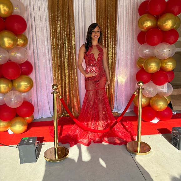 Prom dress - Picture 8 of 9